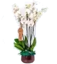 Geçmiş Olsun