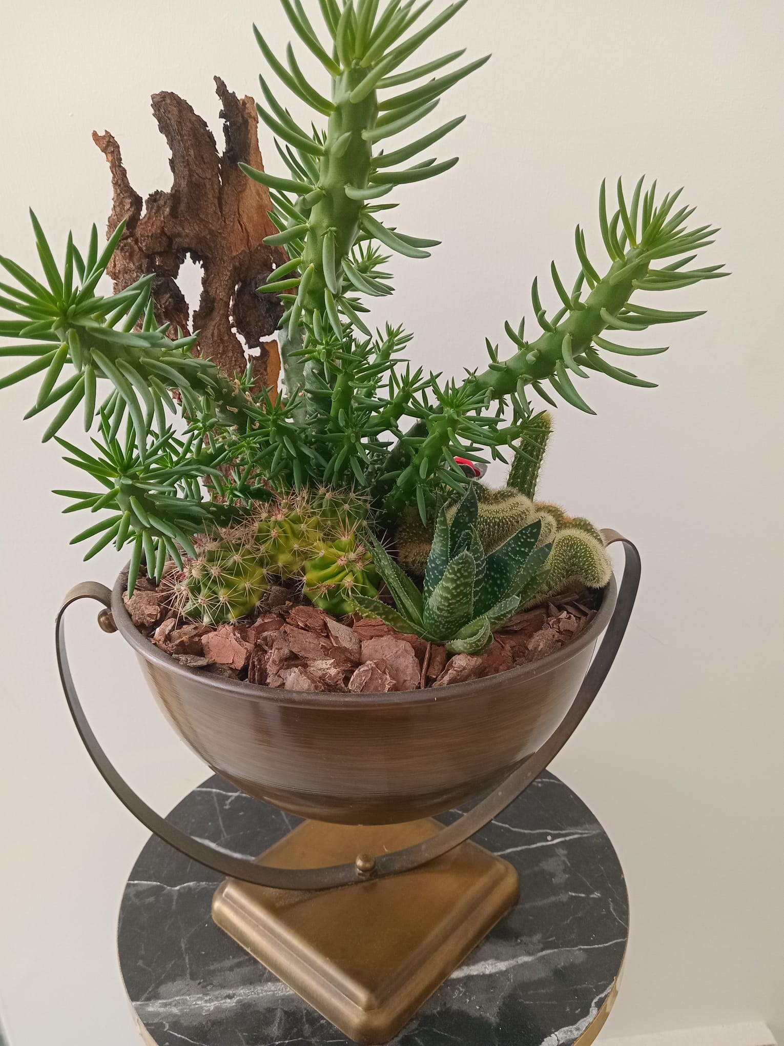 Metal ayaklı saksıda sukulent